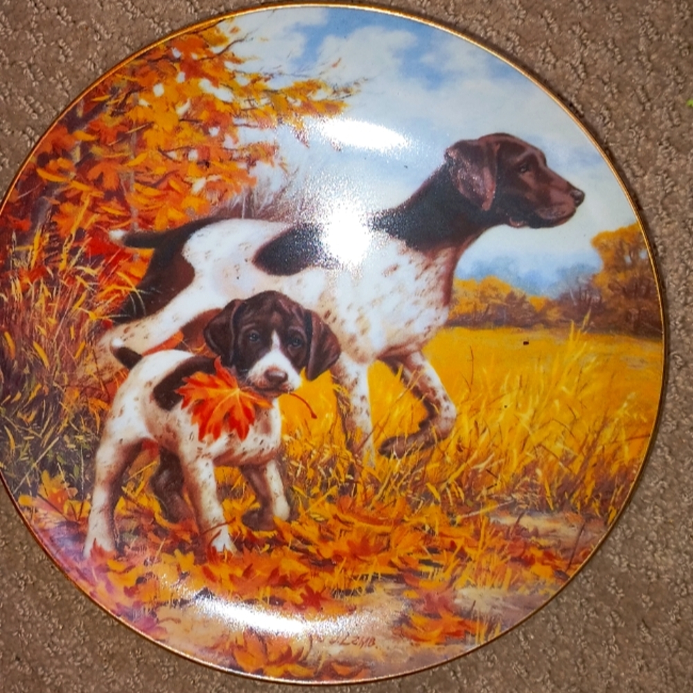 Pointers Bradford exchange Plate